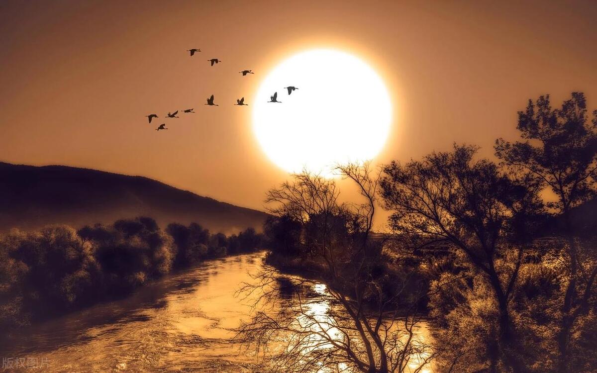 没有抖音快手的人们会怎样,手机里没有抖音快手的人