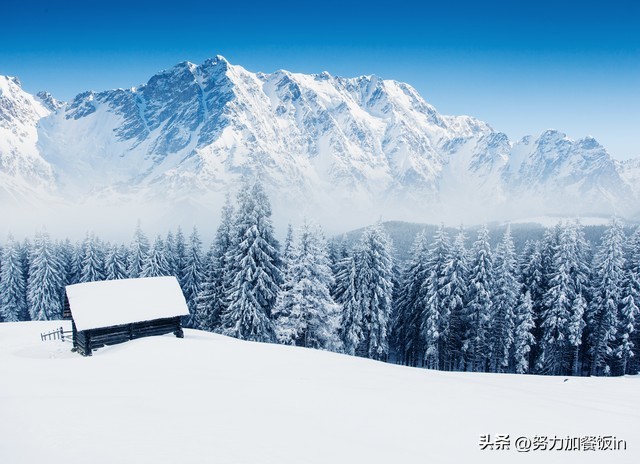 雪字飞花令1000句,雪飞花令诗词