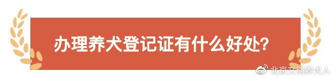 大型犬养犬证怎么办理,文明养犬给爱犬一个合法的身份