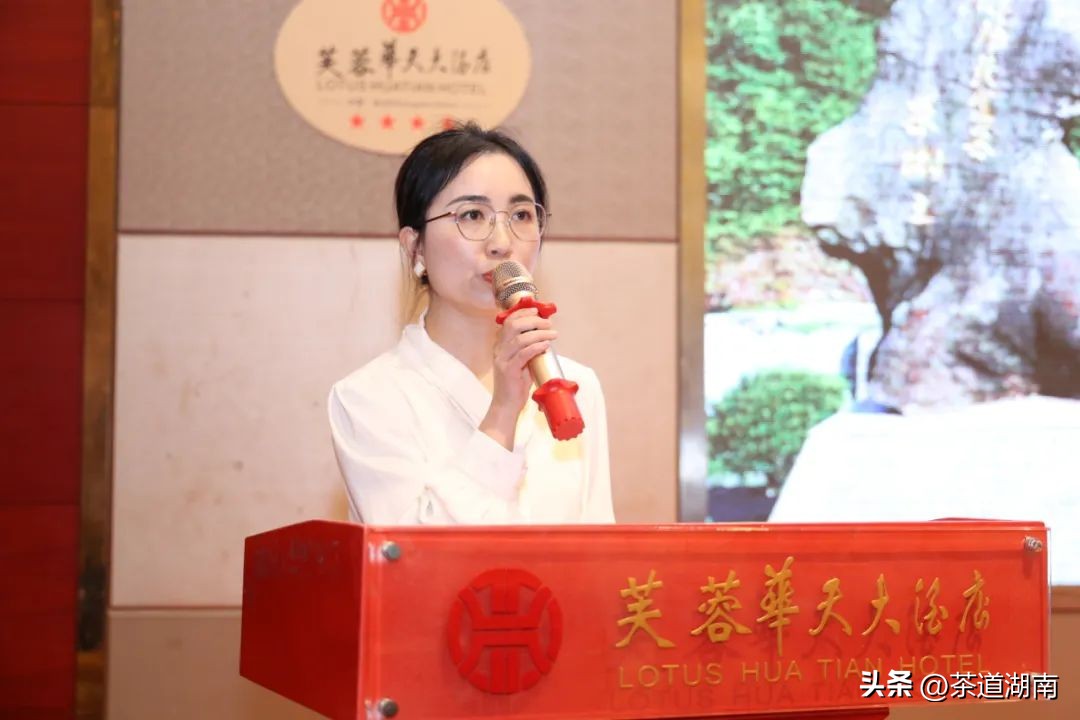 湖南长沙县春茶,2022湖南春茶总结