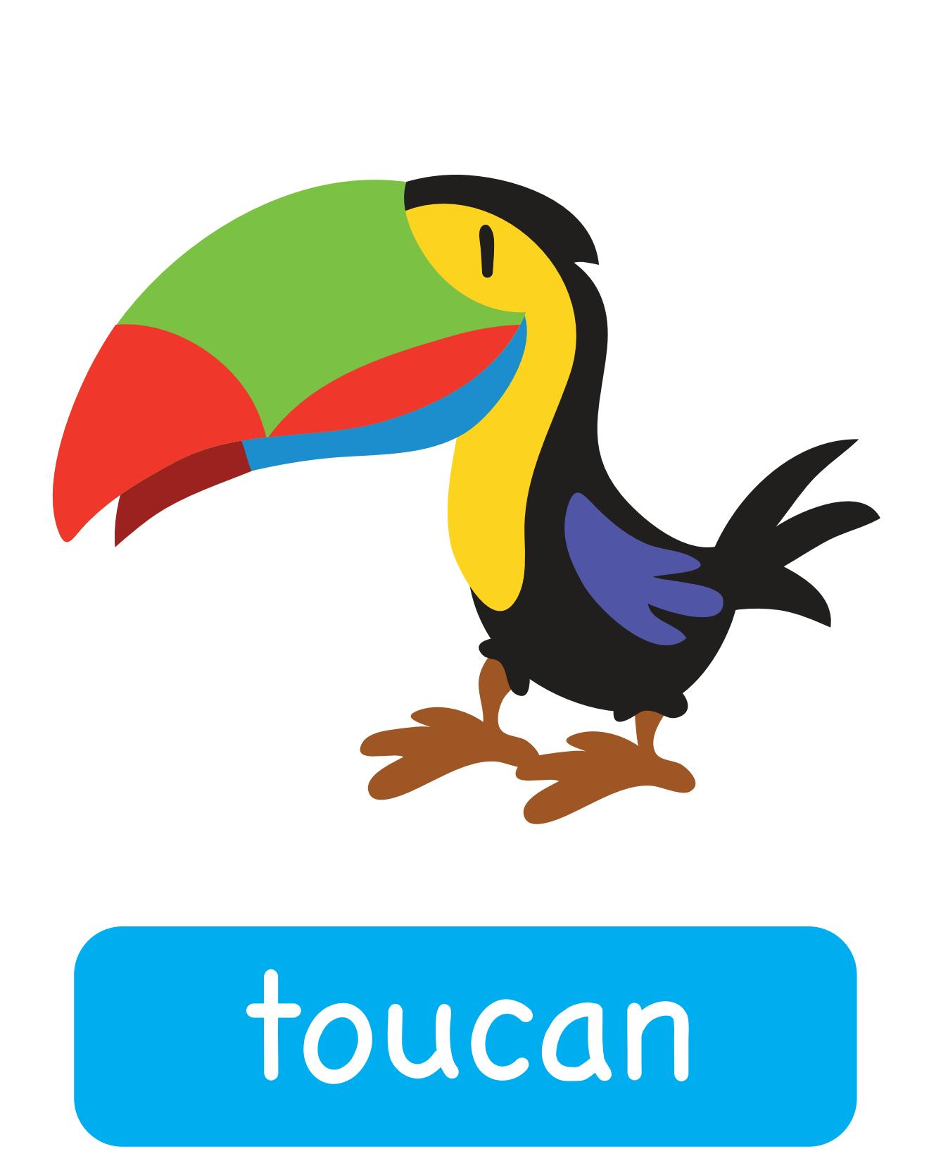 图说英语单词：高清动物类卡片，一图一单词