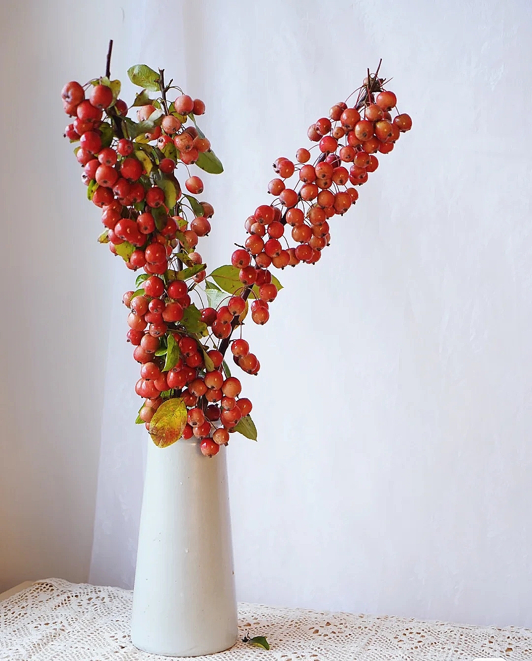 花艺教程花材打理知识,花艺教程常用花材及叶材有哪些