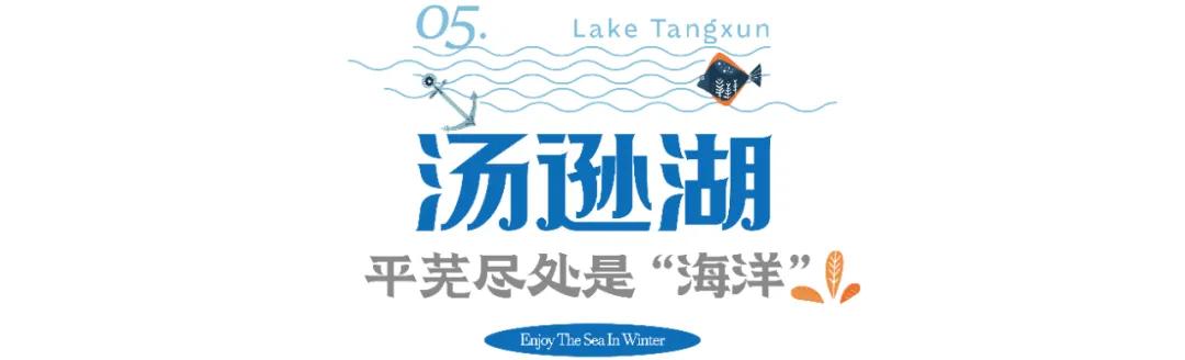 武汉人的冬天专属指南,武汉人的冬天为什么那么冷