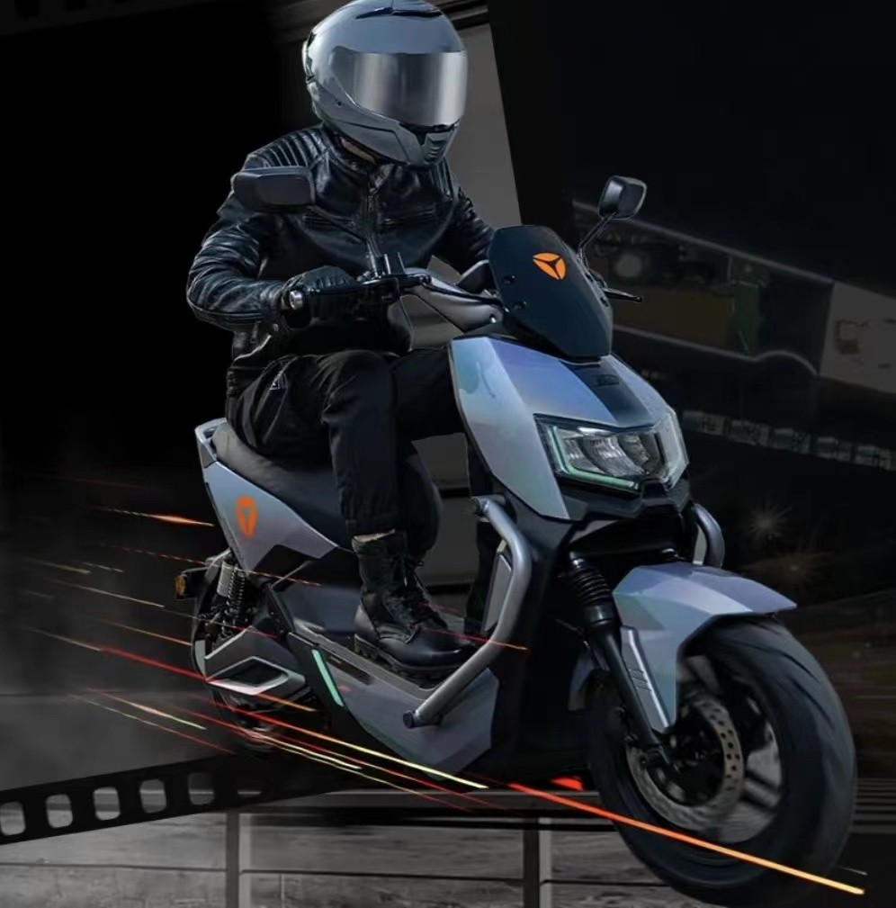 十大两轮电动车品牌排行榜2021,电动车十大品牌质量排行榜2021