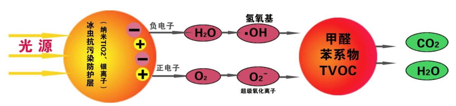 生物酶和活性炭哪个除甲醛效果好,除甲醛光触媒和生物酶哪种好一些