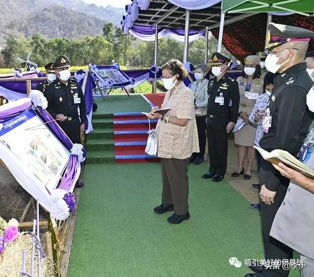 没有情人的情人节下集,没有情人的情人节剧情