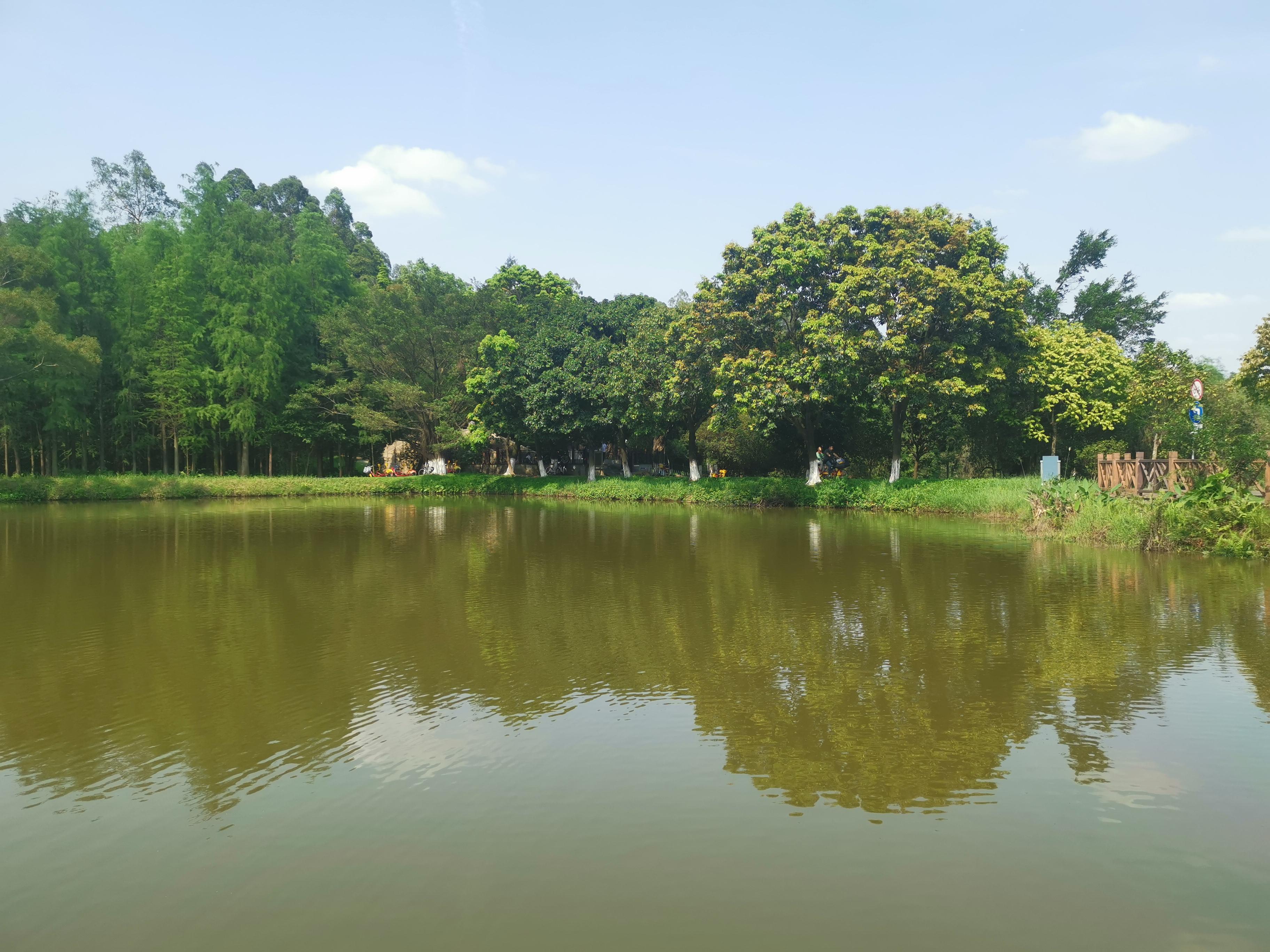 大夫山一日游自由行,大夫山一日游周记