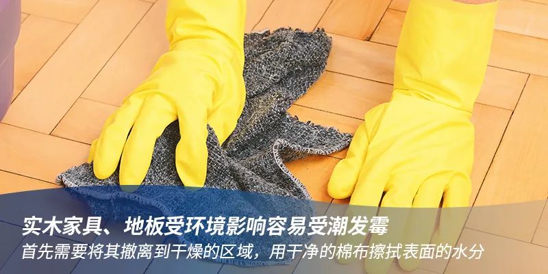 防止木材发霉的小技巧,木材经常潮湿会发霉吗