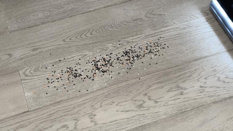 添可洗地机最新款测评,添可芙万wiper智能高端洗地机测评