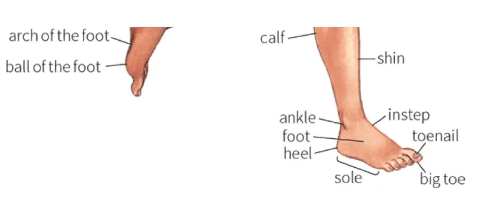 【建议收藏】图文并茂的鞋靴领域术语字典！