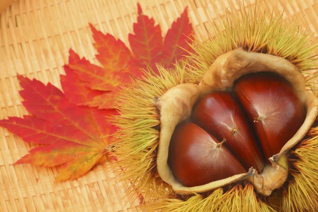 秋田小吃名字,秋田名物是什么