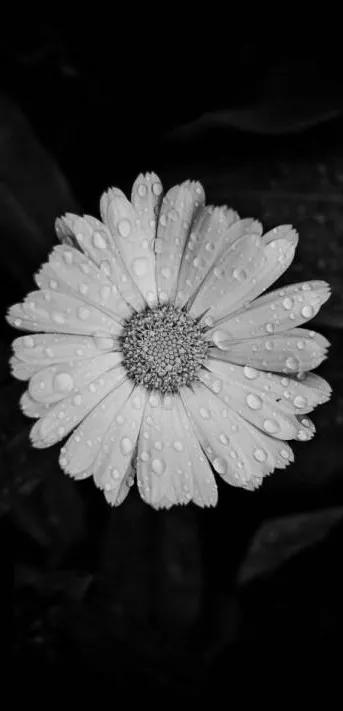 黑暗系的壁纸文字,黑暗色系的壁纸