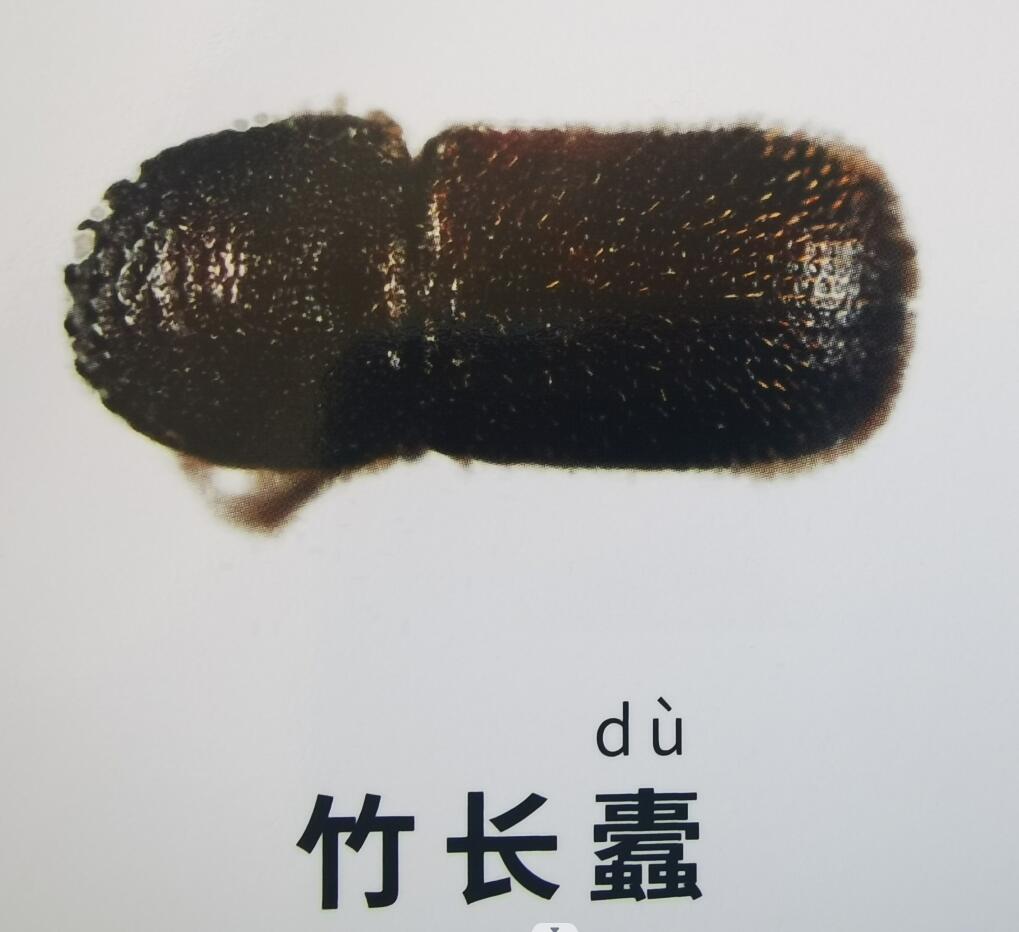 警惕潜伏在孩子身边的危险玩具,孩子抱着睡觉的毛绒玩具有毒