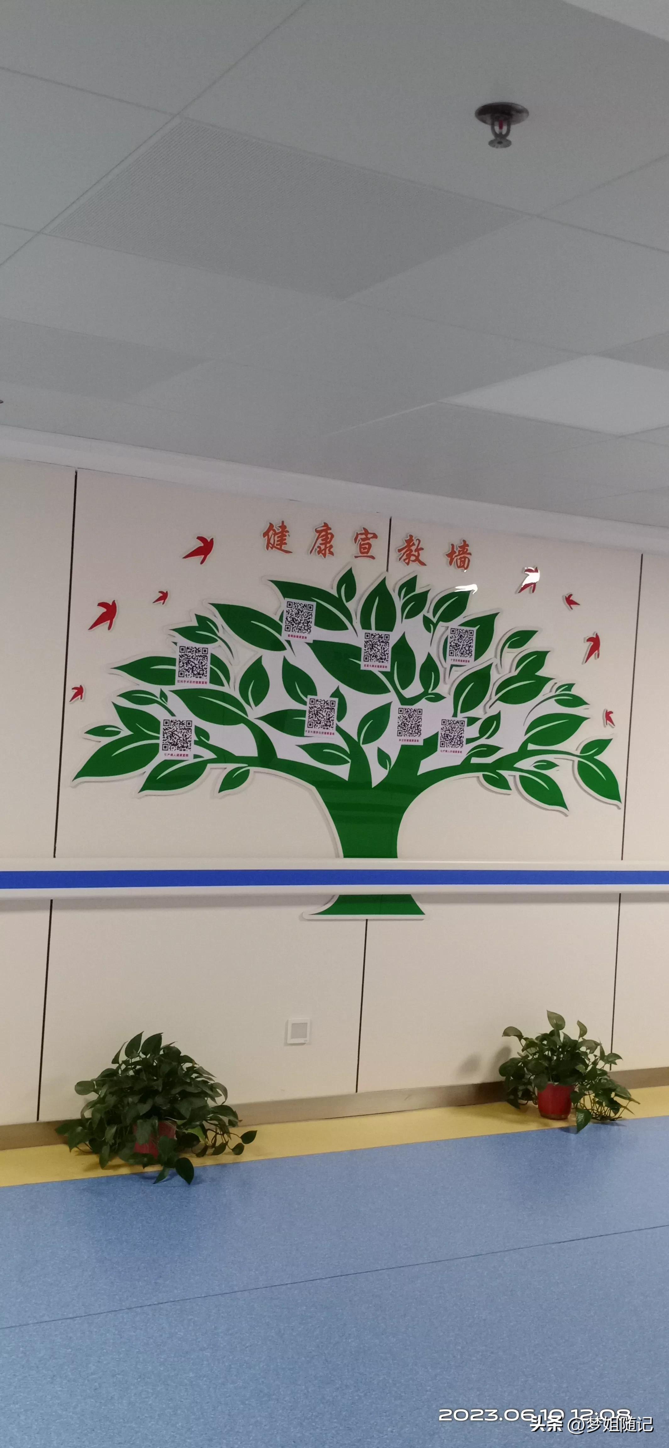 现在医院的看病流程合理吗,医院各种仪器教学