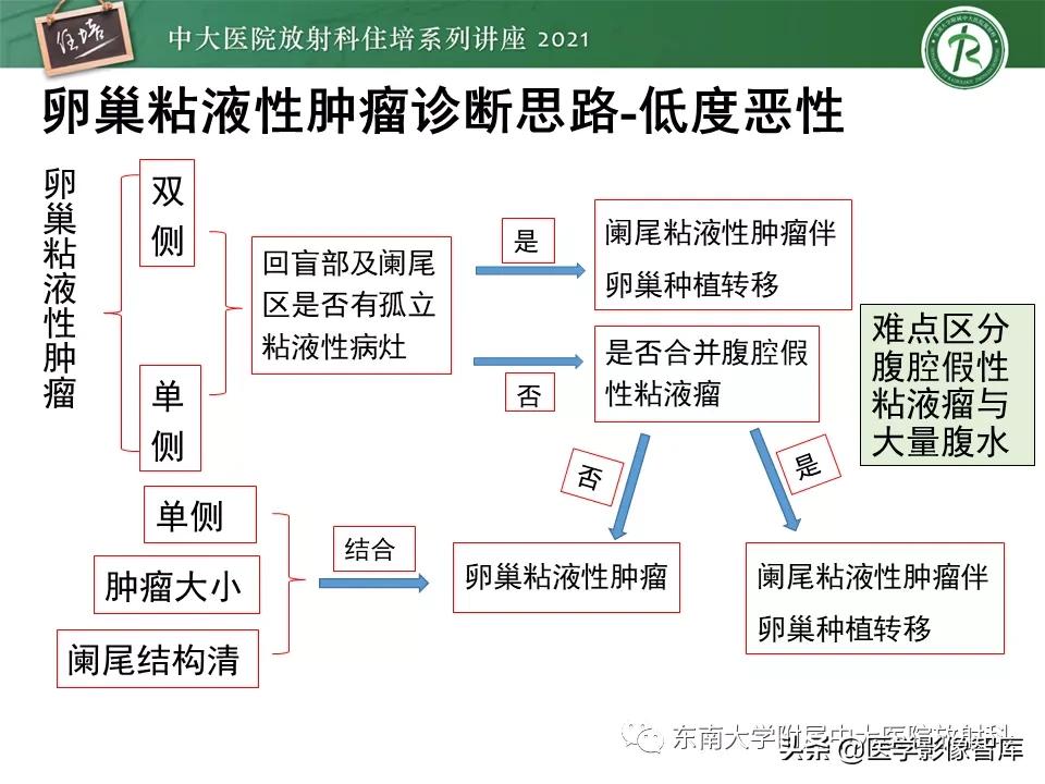 卵巢浆液性肿瘤的肉眼及镜下特征,卵巢原发性粘液性囊腺瘤