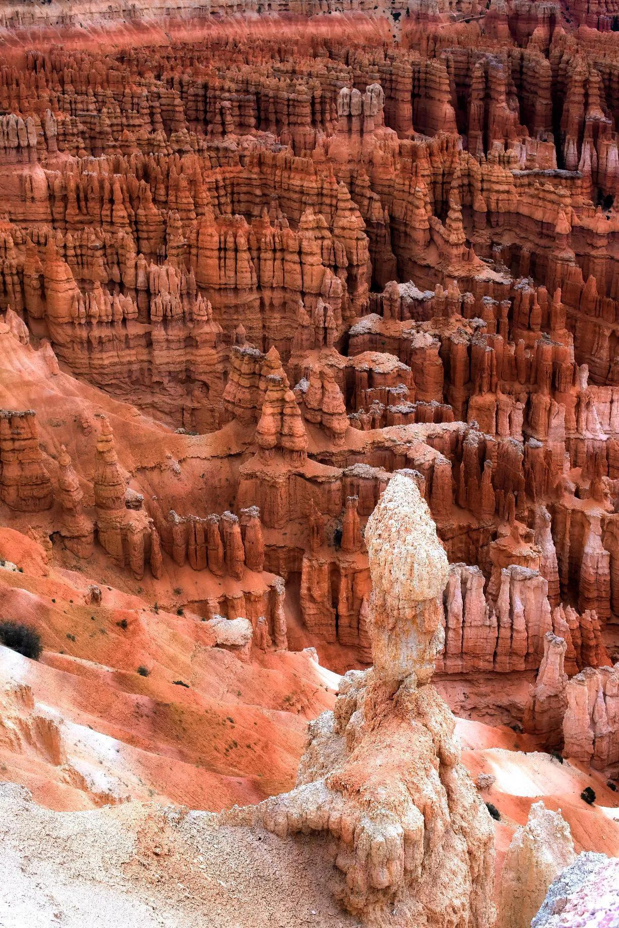 哪些是艺术,什么是艺术你看得懂吗