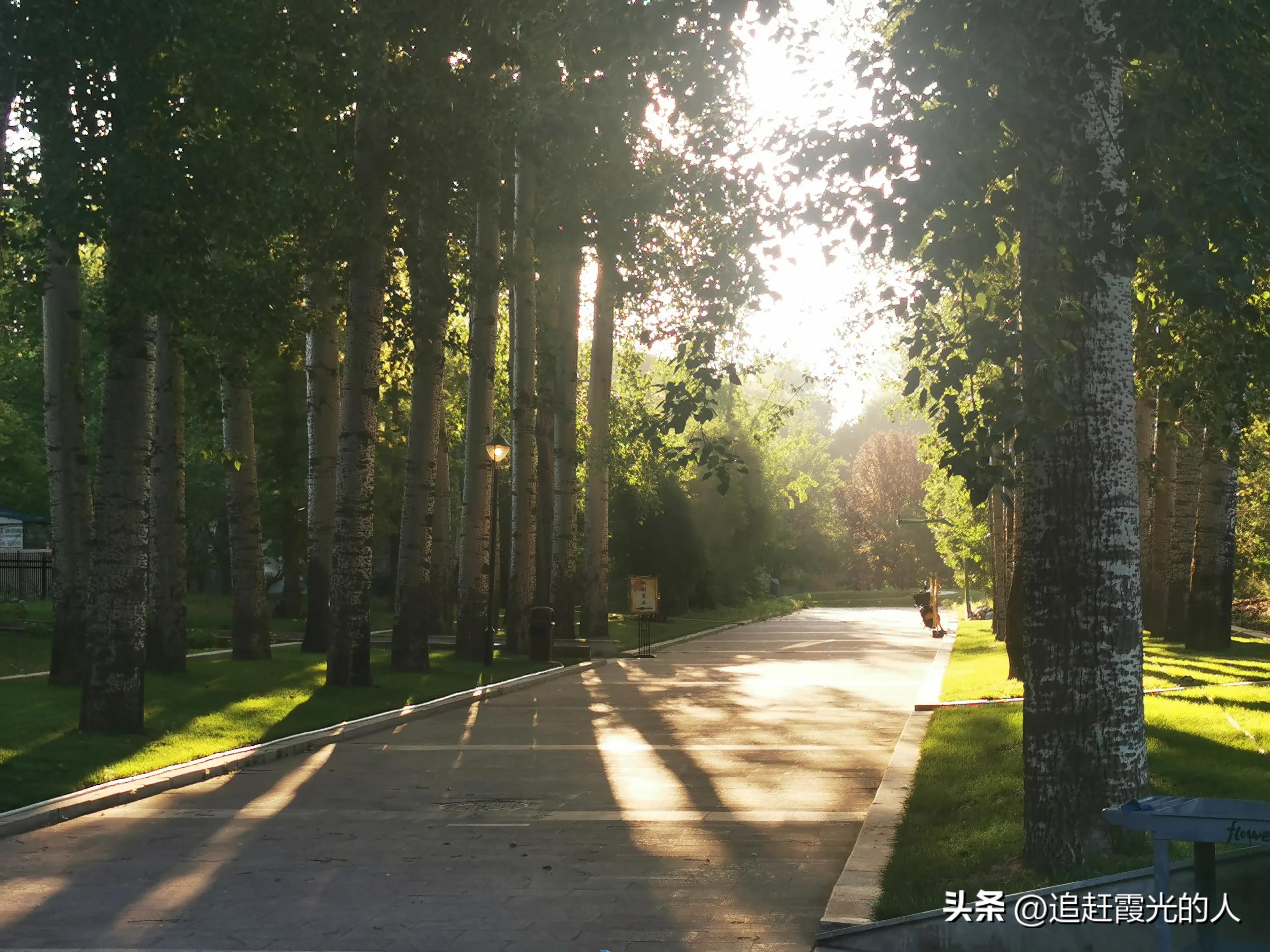 在哪里能租到北京的农家小院,北京哪里可以租农村小院