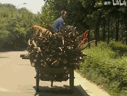 10年代中国综艺巅峰,10年前的国产恋爱综艺