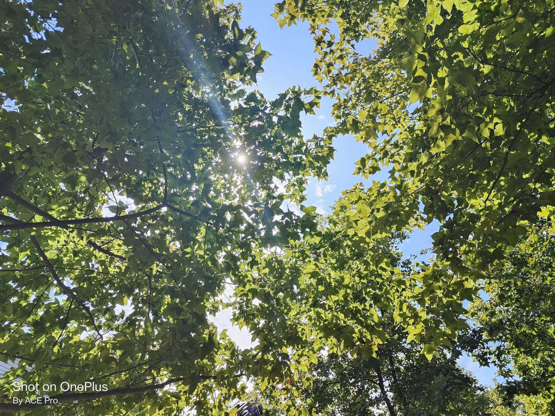 一加acepro学生,一加acepro原神评测