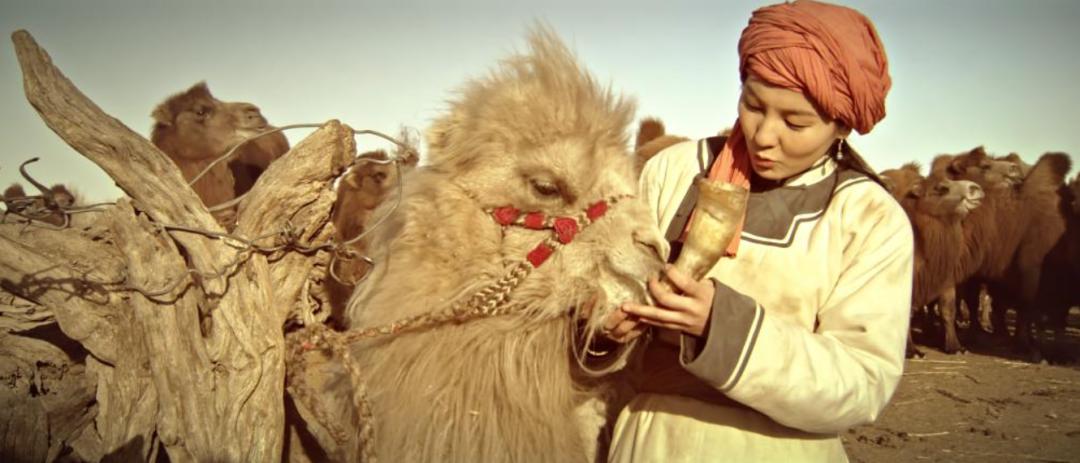 中外情感片推新来袭，人兽大战爱意浓郁?哭声大到邻居家直敲墙