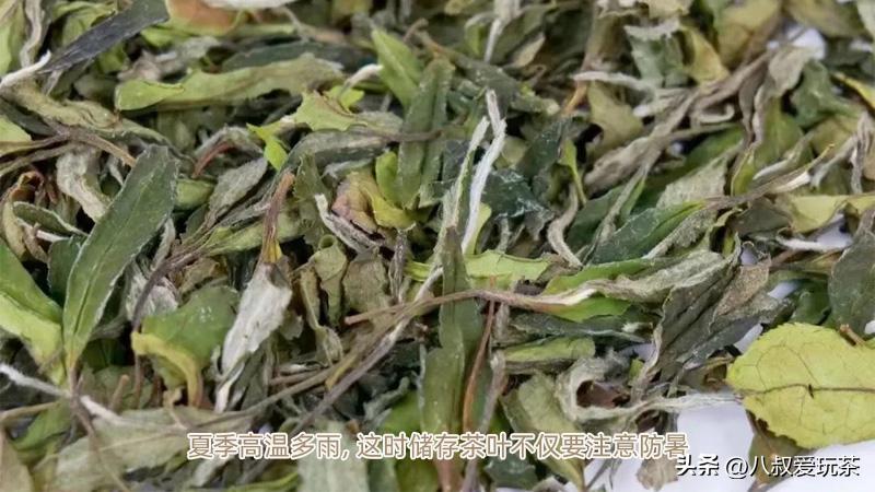 茶叶放冰箱怎么存放最好,茶叶放冰箱如何储存好一些