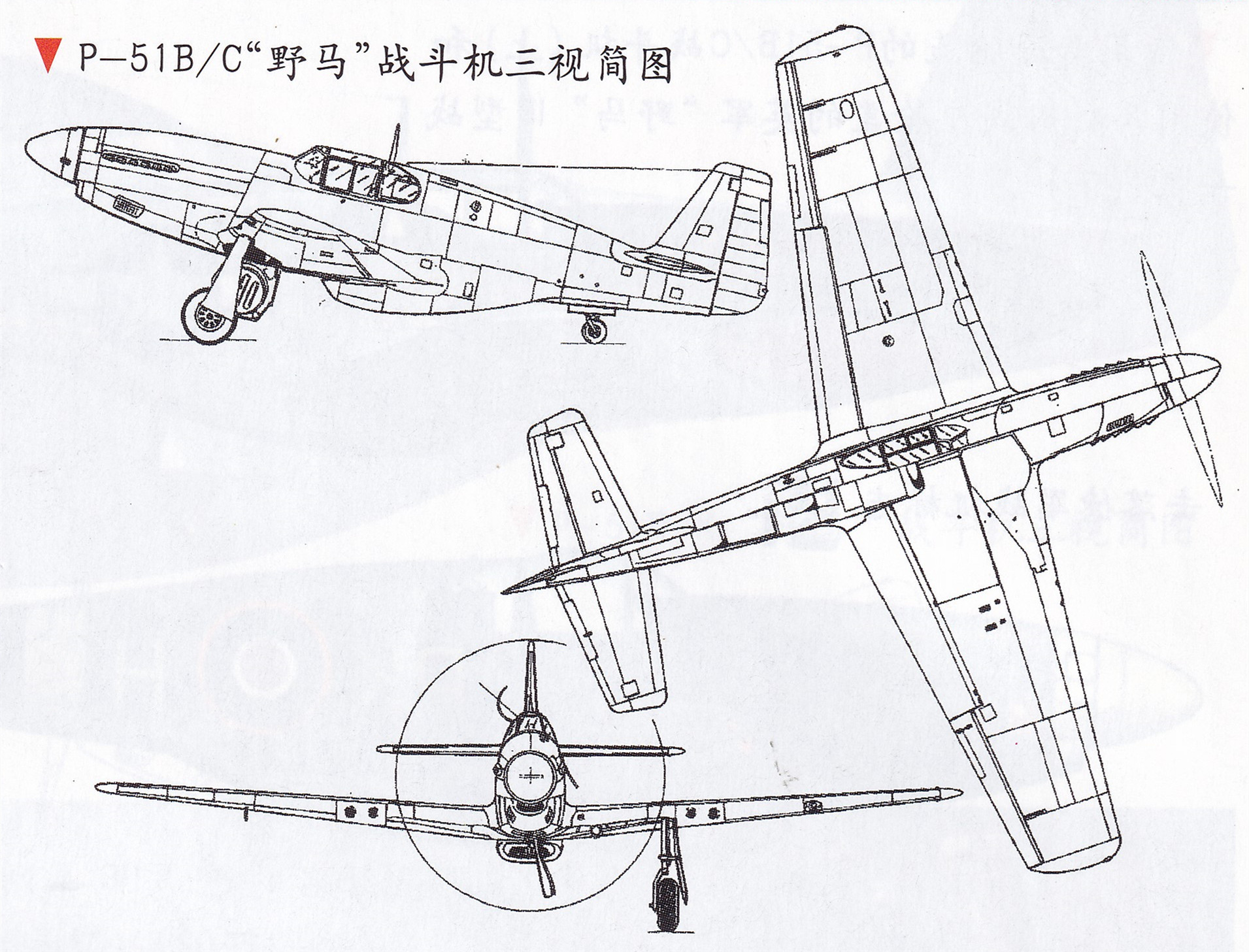 野马p26战斗机,野马家庭版