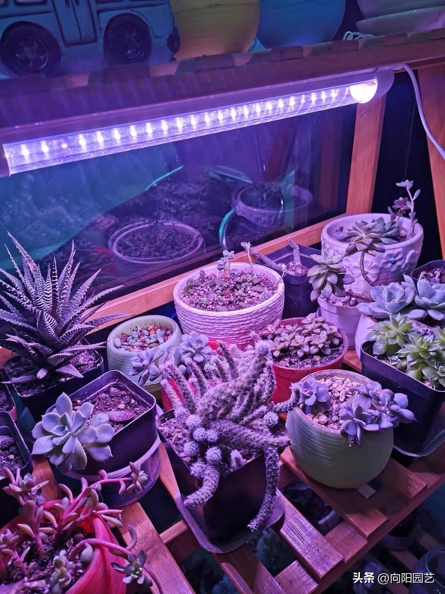 几十块的补光灯推荐,100元左右补光灯怎么选