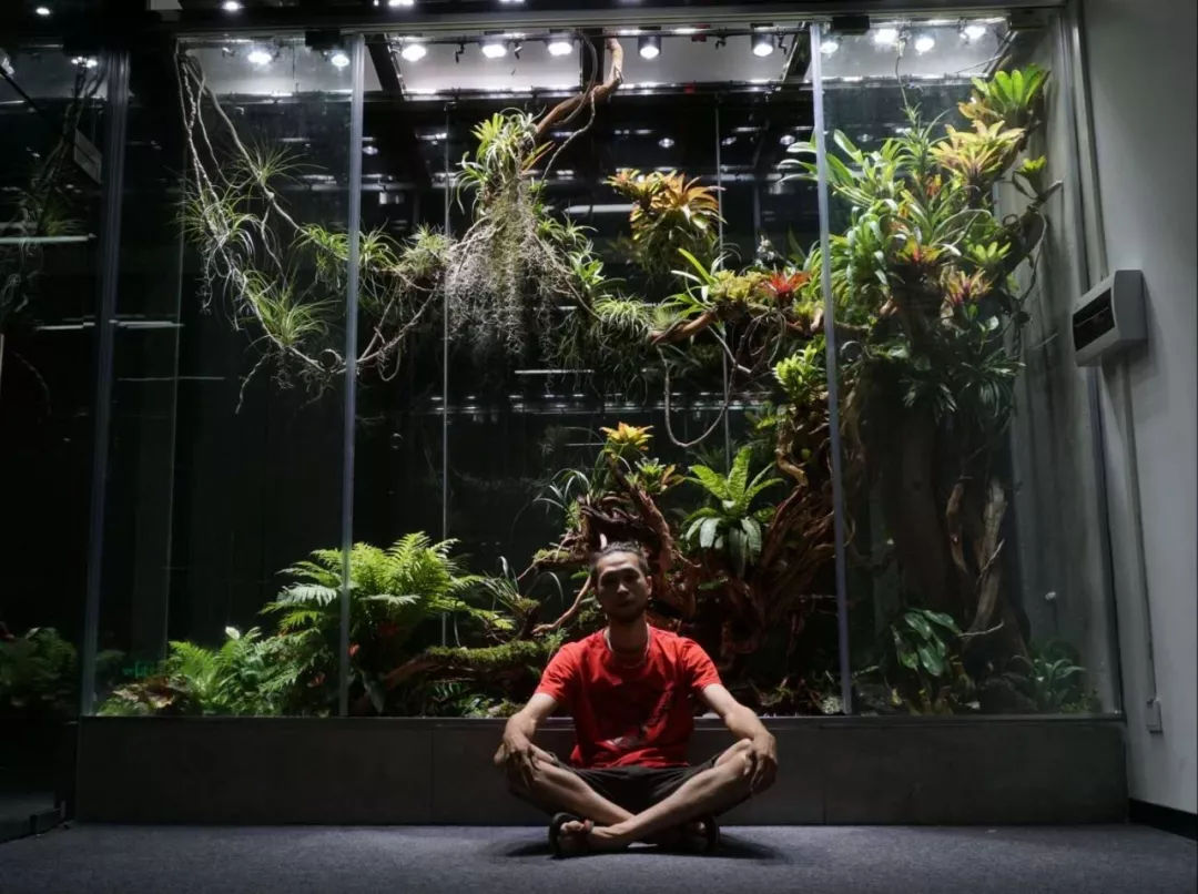 大妈养殖致富,造景水草养殖一亩利润多少