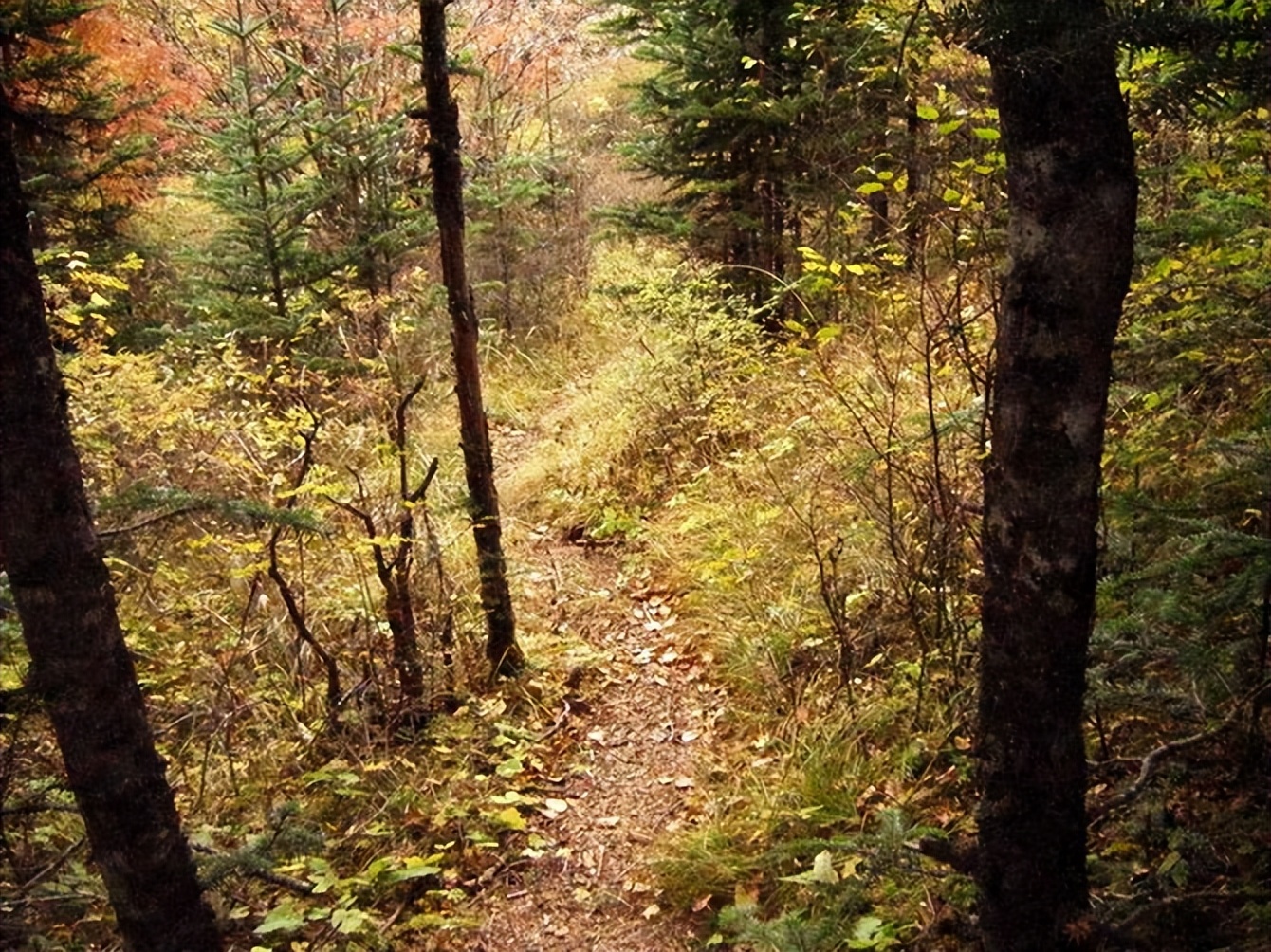 鳌太穿越UL之旅