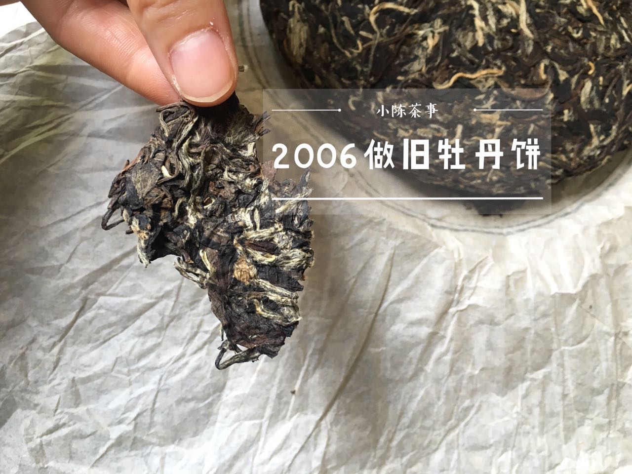白茶只有老的好,白茶新茶就好喝