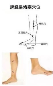 十二经络足阳明胃经穴位走向,胃部经络最易堵塞三个穴位