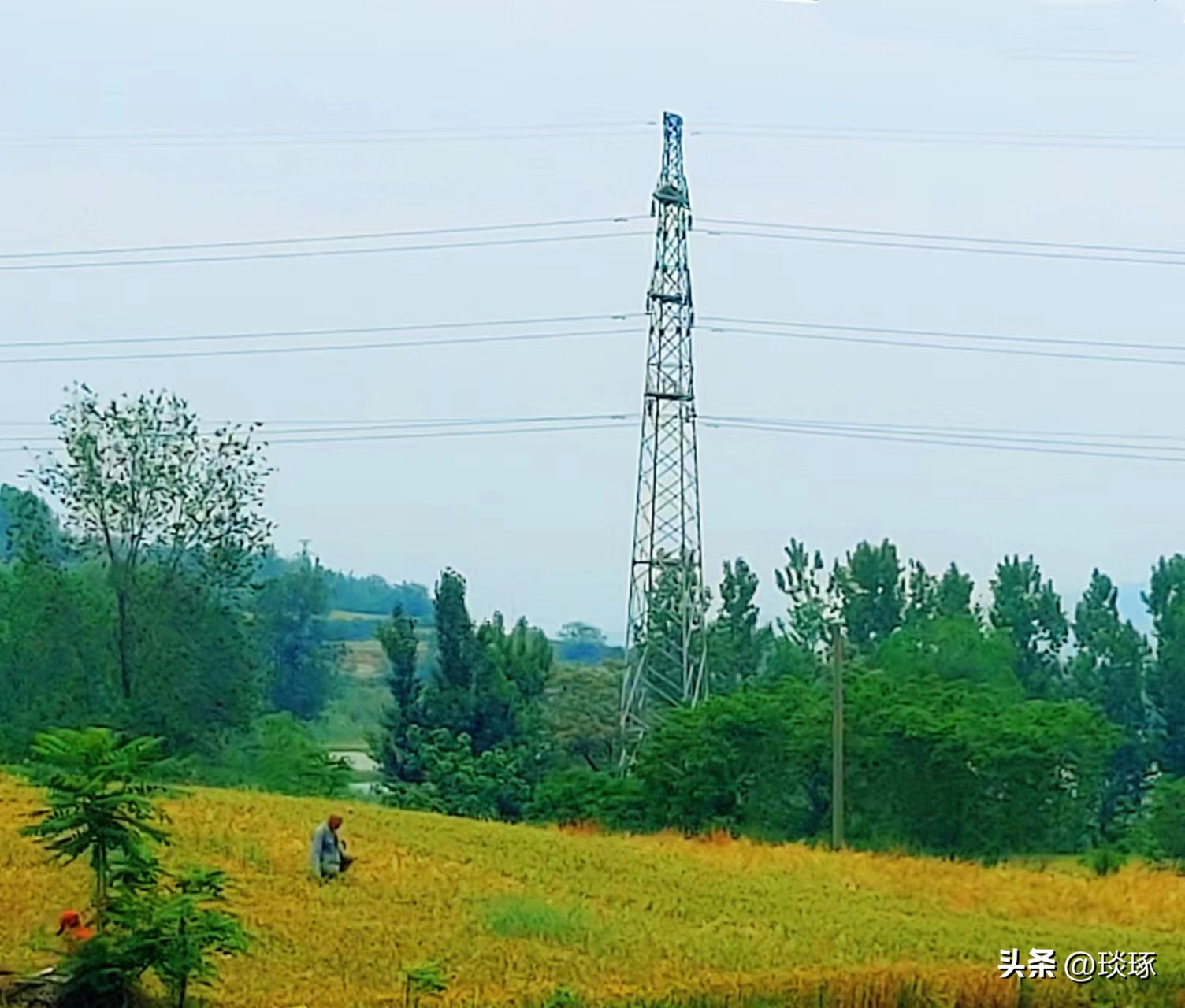 散文欣赏：鹰城山水秀，五月田园诗