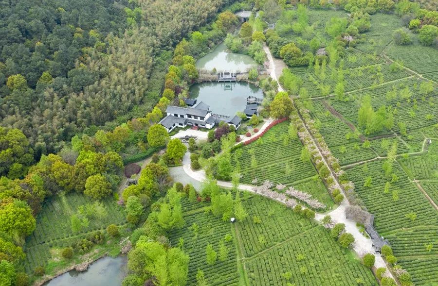 苏州哪里赏枫叶最好看,去苏州看枫叶的景点