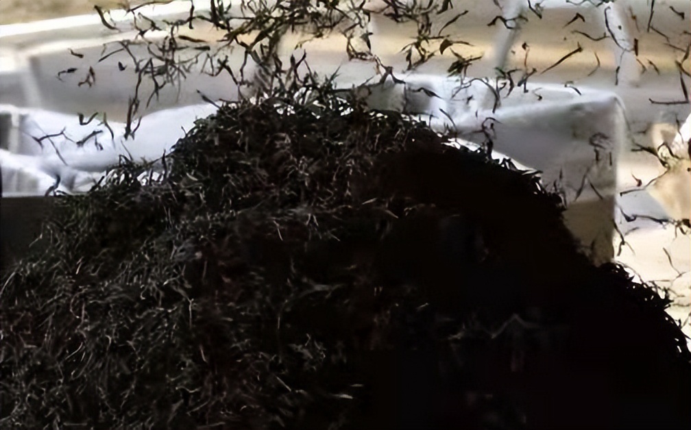 比茶难卖更可怕的是：茶老板看不到希望