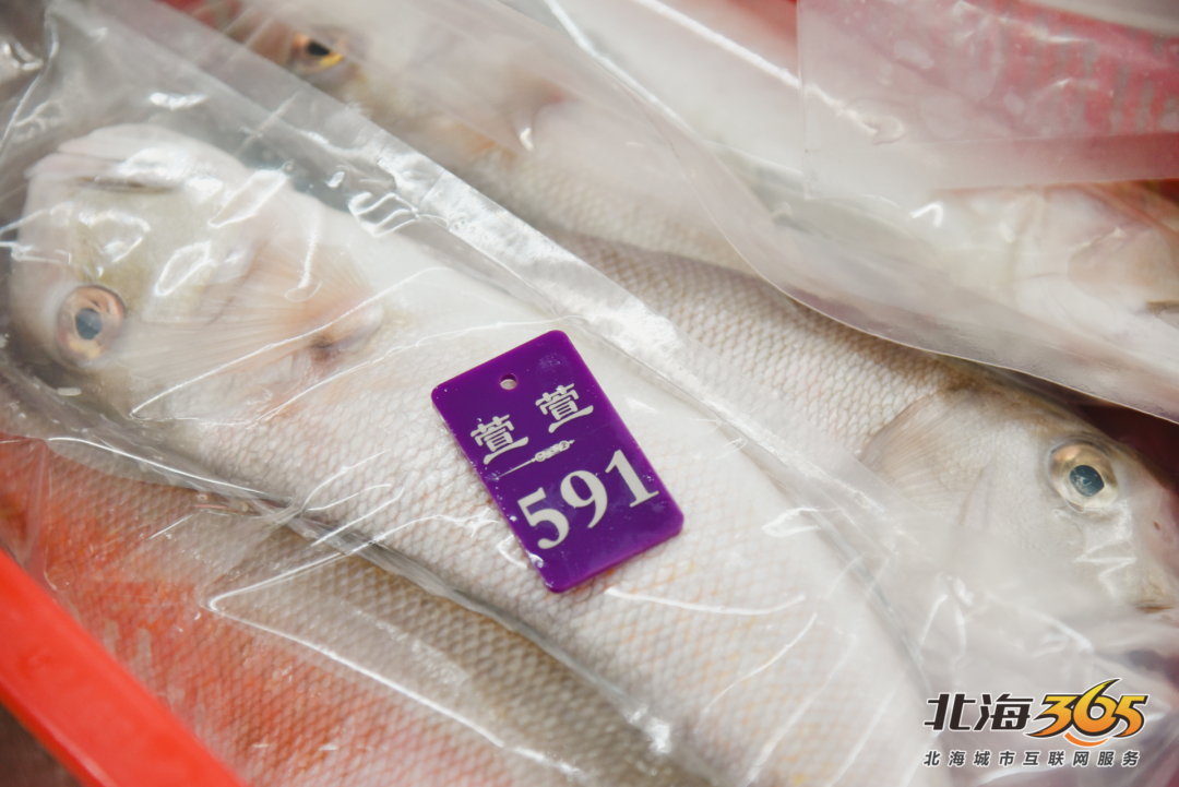 凌晨三四点都有人在直播带货,凌晨三四点直播的都是什么人