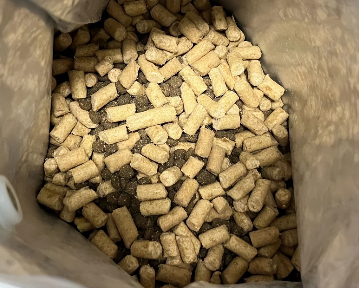 猫21测评：喵达冻干生骨肉猫粮适口性怎么样？可以帮猫咪增肥吗？