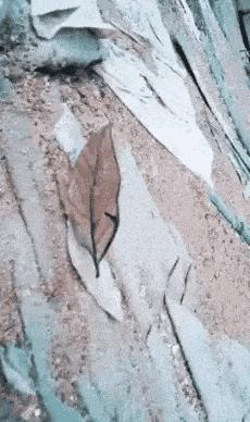 女友刚洗完澡该怎么回复,女朋友洗完澡冷得很该怎么回复