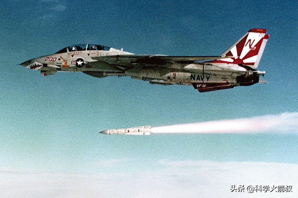 f14雄猫战斗机从头上飞过,f14雄猫战斗机干掉f22