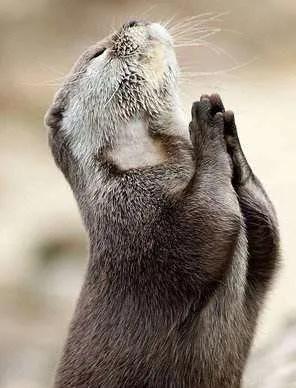 和不讲道理的人讲道理句子,不讲道理的人