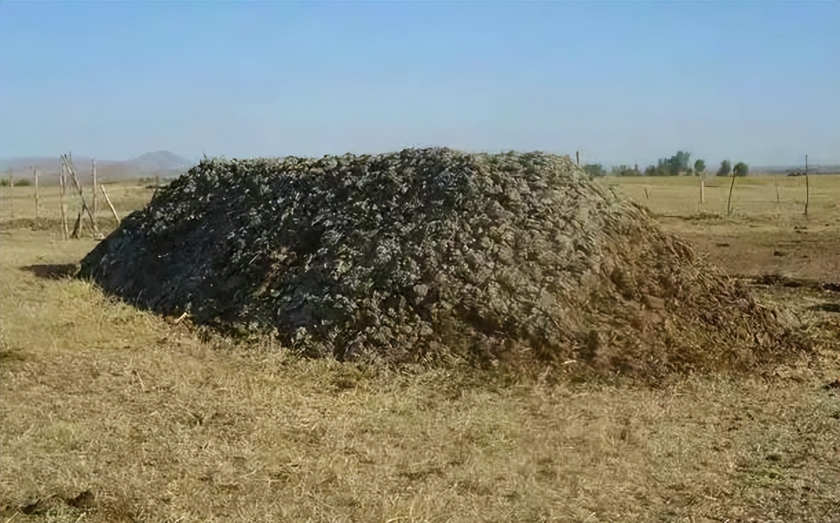 2006年日本企业投资15亿，租下山东1500亩良田，闲置5年杂草丛生