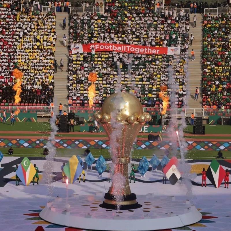 非洲杯进行时！这些非洲球队的绰号，你了解几个呢？