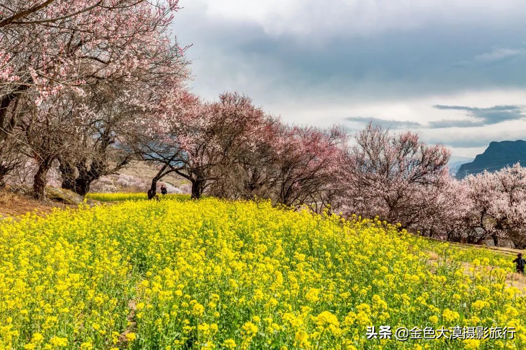 3月份去西藏林芝,3-4月去西藏林芝好玩吗