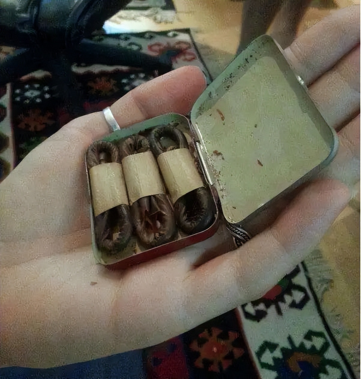 同样的钱买一套还是两套划算,同样套定额为什么价格不一样了