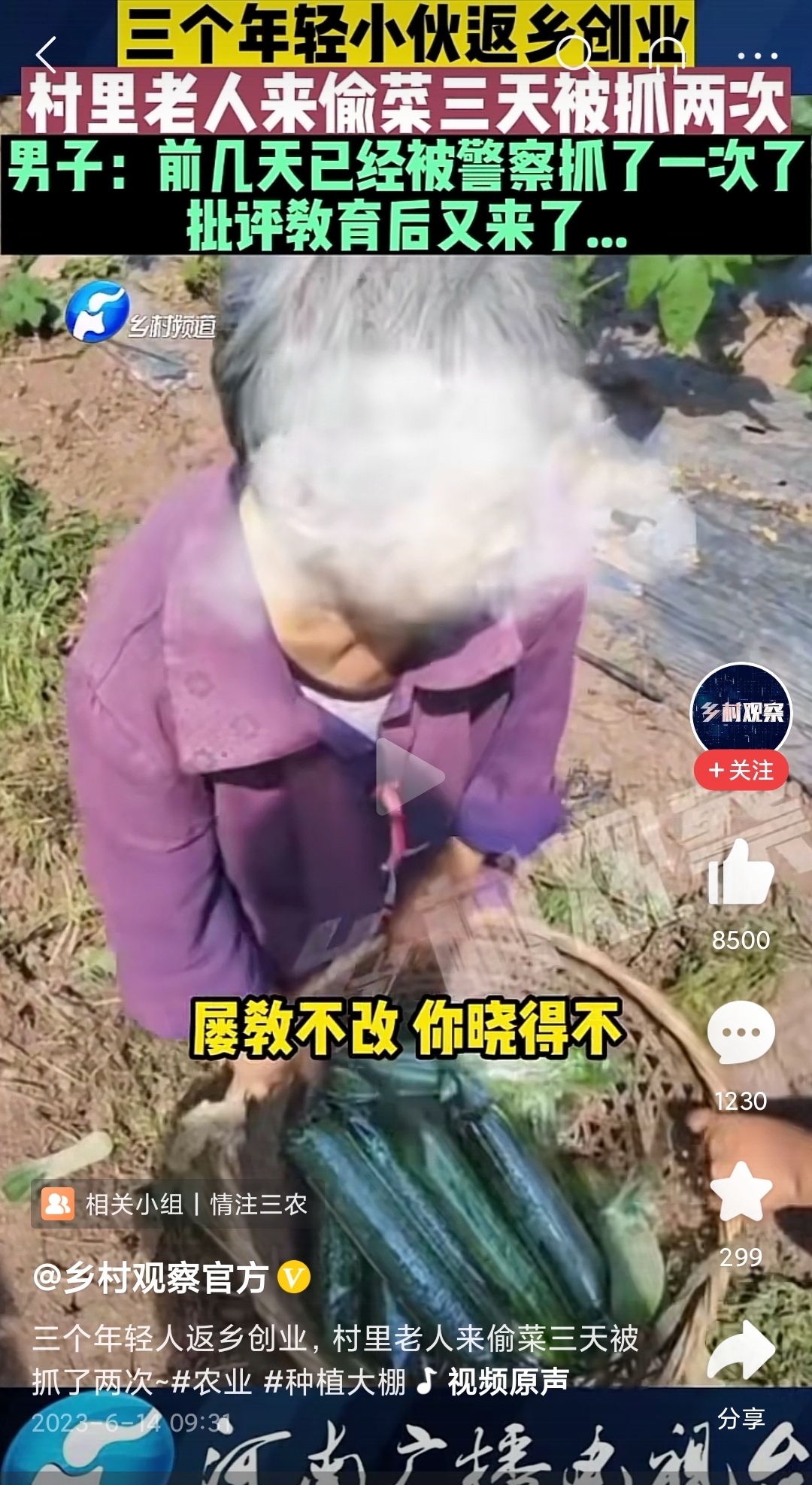 乡村吸引年轻人回村创业办法,年轻人回农村创业需要什么条件