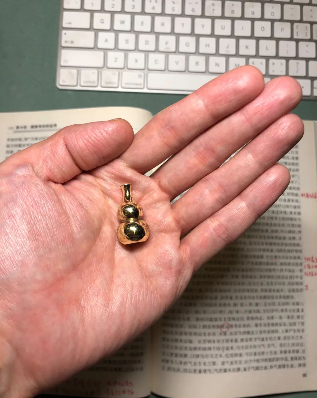 随讲《指南·温热》黄:龙雷厥阴、辩证模式、伏其所主,先其所因