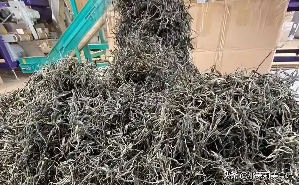 散茶为什么不能喝,散茶哪种最好喝