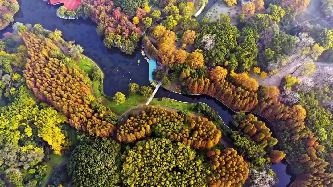 上海地铁直达的公园,上海最美公园地铁站