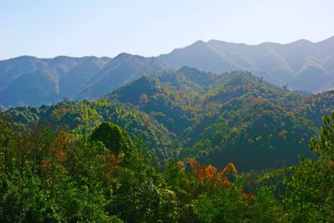 暑期南昌避暑好去处推荐,南昌这边清凉避暑好去处