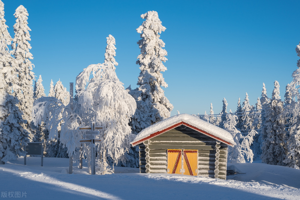 羊肉十大必买部位,买猪肉时聪明人专挑这4个部位