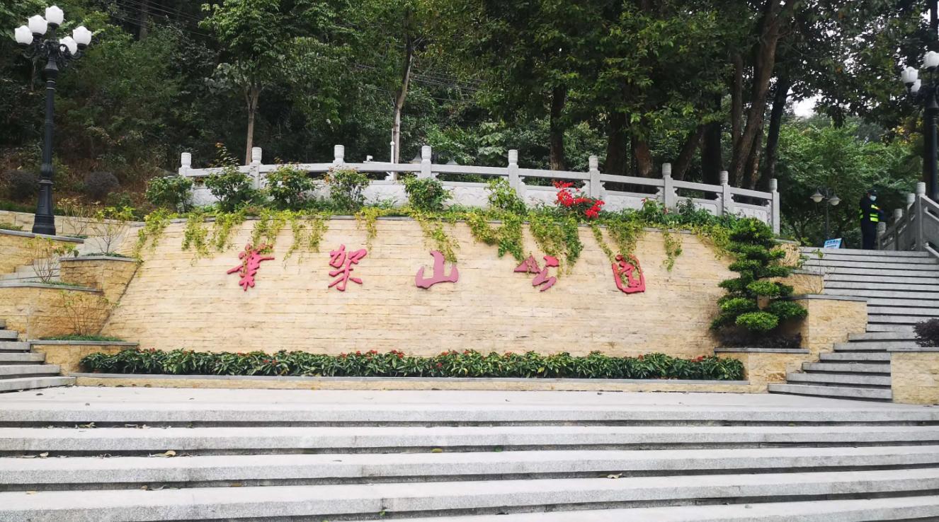 周末森林公园推荐深圳宝安,深圳森林公园登上山顶看美景